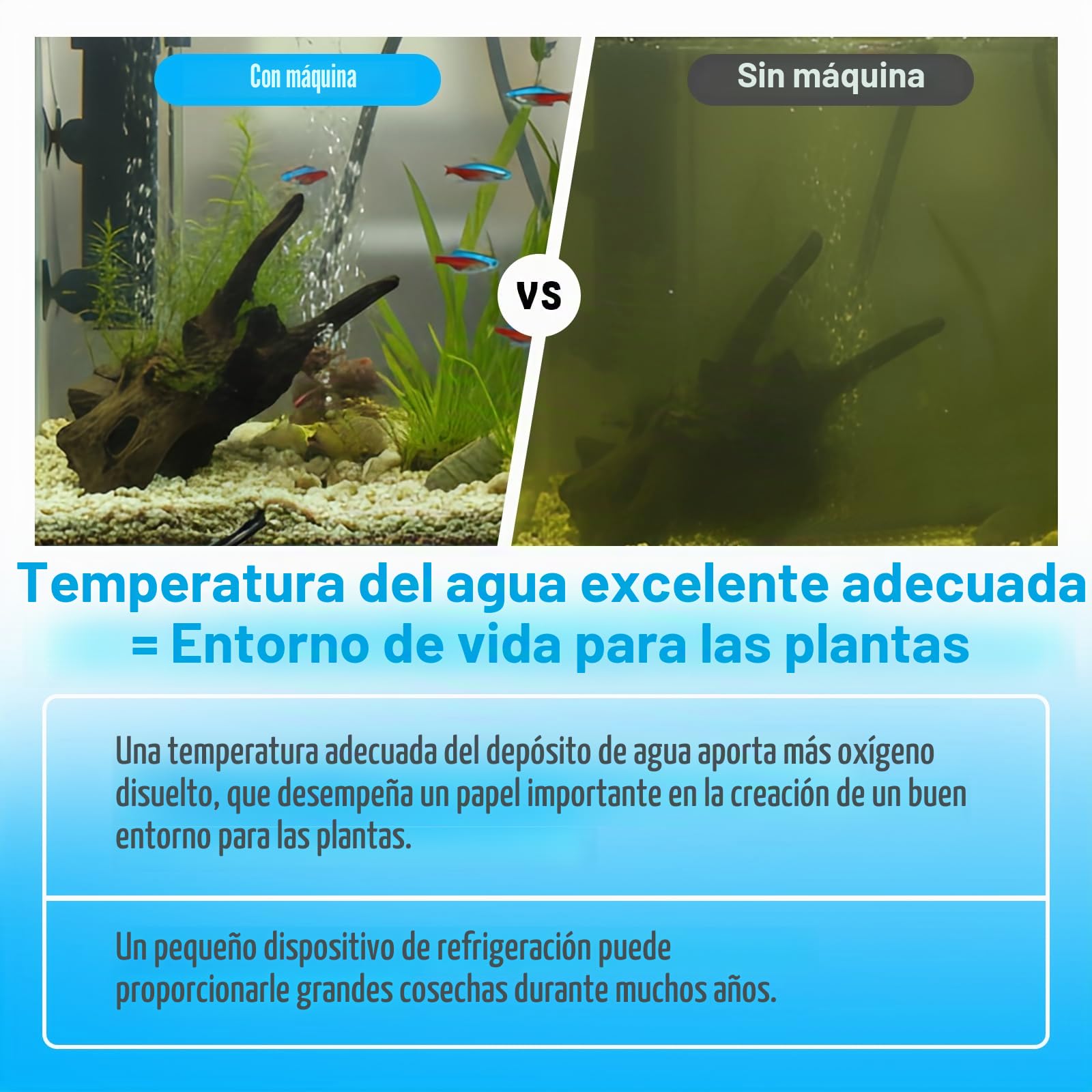 Enfriador Acuario de 160L, Enfriador de Acuario Adecuado para Peceras, Plantas Acuáticas, Medusas, Plantas Acuáticas de Agua Dulce/Salada, con Bomba, Manguera y Anillo de Fijación