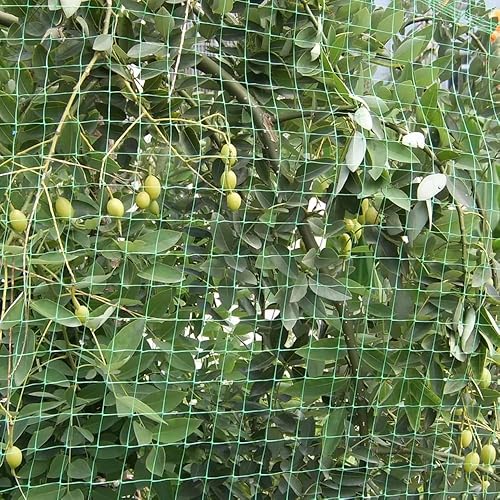Miniatura 7 de Red para pájaros de 7 x 65 pies  Malla de jardín de 34 pulgadas para protección de plantas, malla de valla de ciervos contra pájaros, ardillas,