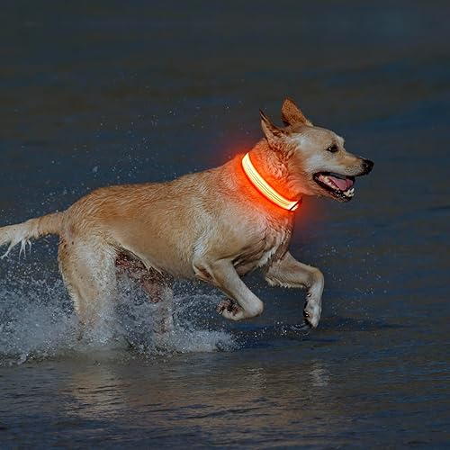 Miniatura 6 de Illumifun Collar de perro con luces LED recargables por USB, luz parpadeante ajustable para perros grandes (naranja, grande)