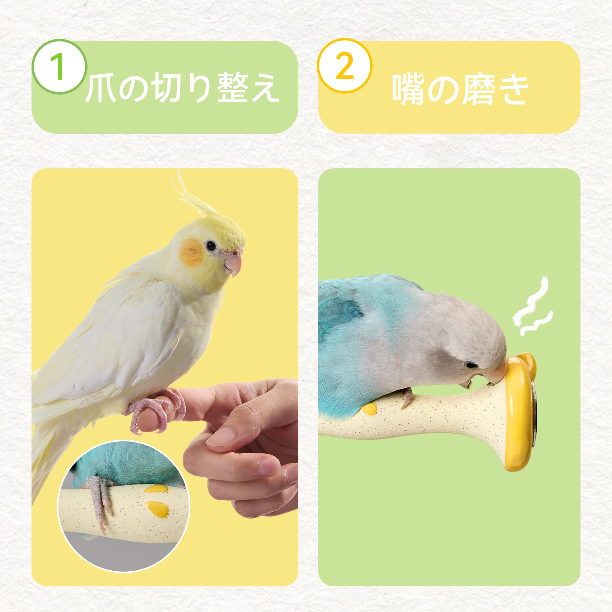 Amazon | Tafit インコ くちばし研ぎ 止まり木 陶器製 リンゴ型 爪とぎ