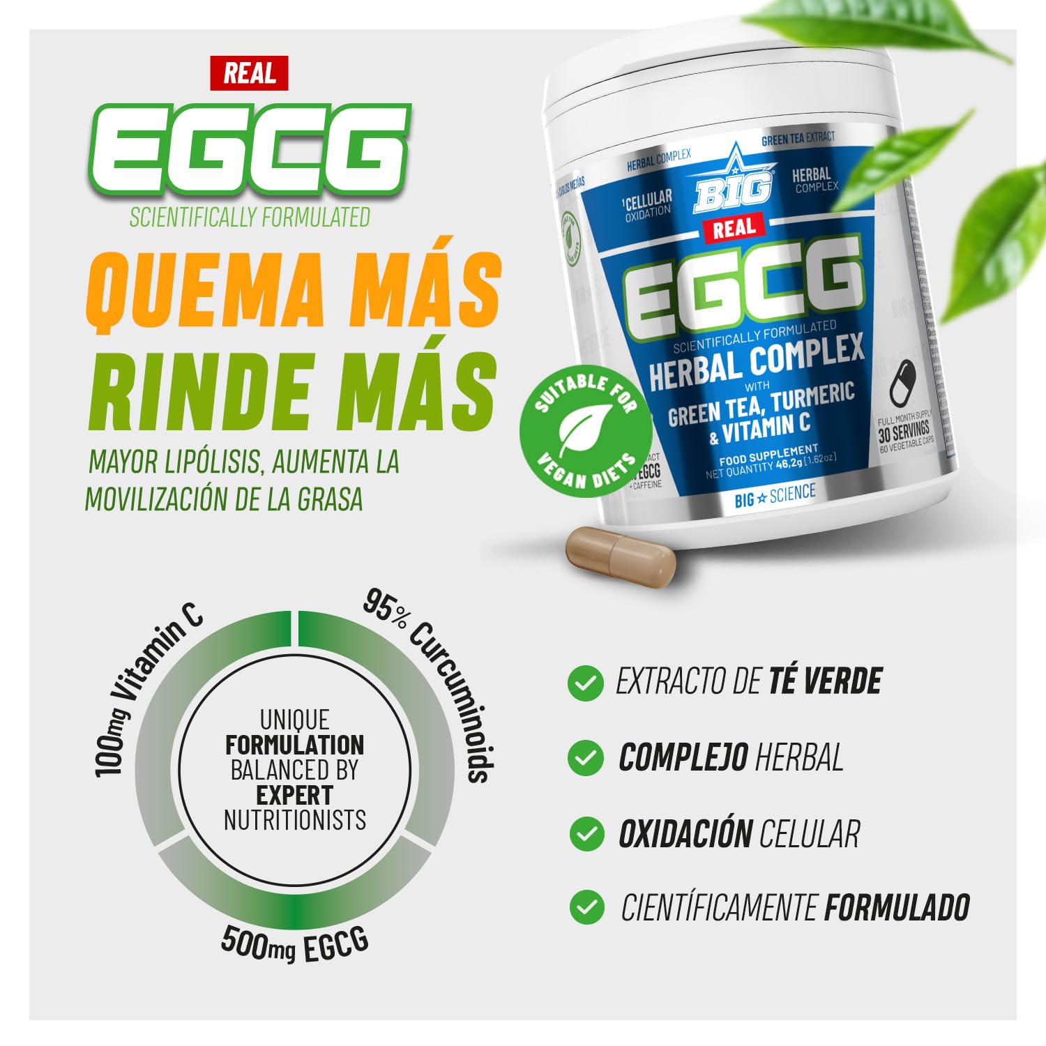 BIG - Real EGCG - Extracto de Té Verde para Adelgazar - Cápsulas de Green Tea Naturales - Alta Concentración de EGCG - Antioxidante y Quema Grasa - Materia Prima Premium - Vegano, Alta Pureza (60 Cáp)