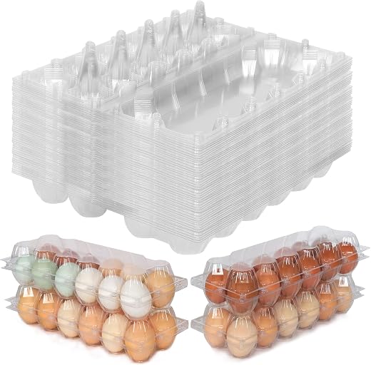 SINLUCESCE 60 Packs Egg Cartons Cheap Bulk, Plastic for 12 Eggs, Clear Egg Cartons 2 x 6 Grids, Perfect for Refrigerator Family Farm Commercial Business Market Display
