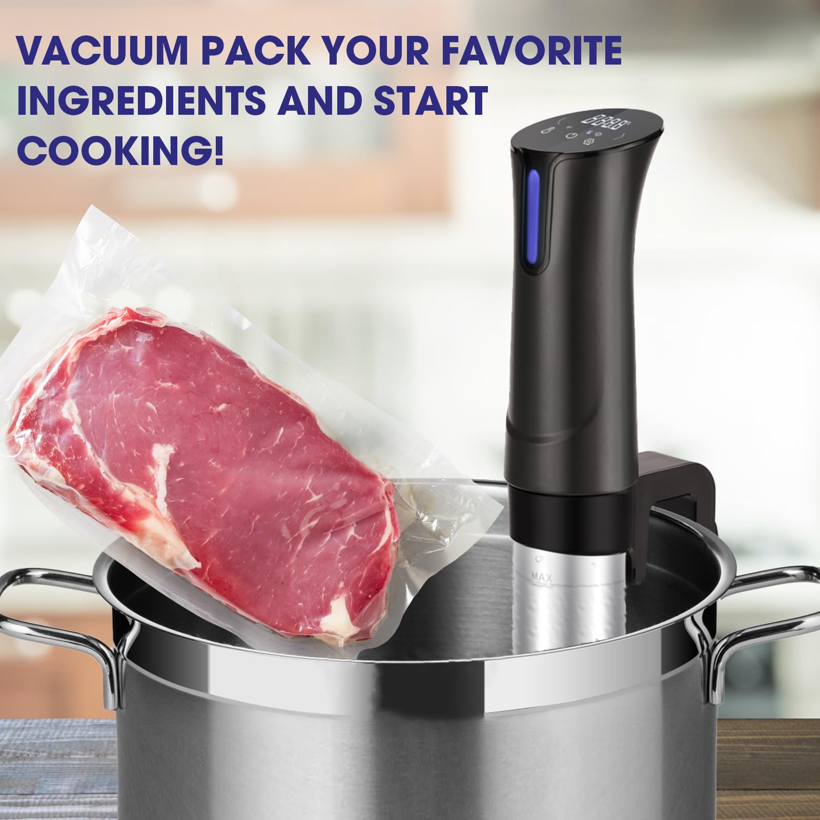 EVERIE Collapsible Hinged Lid Model No. LPV-1202-TYPP