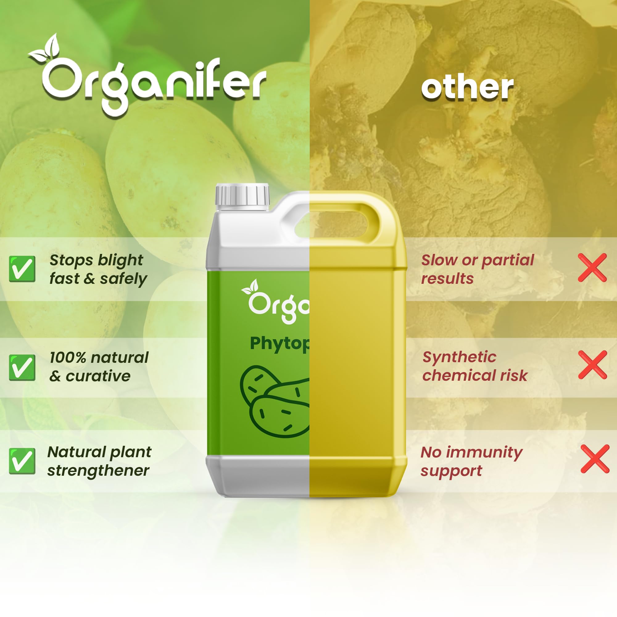 Concentré Phytophthora - 1000 Ml Pour 1000 M2 - Produit Pour Pommes De Terre Et Tomates - Entretien Des Plantes - Engrais Végétal - Organifer
