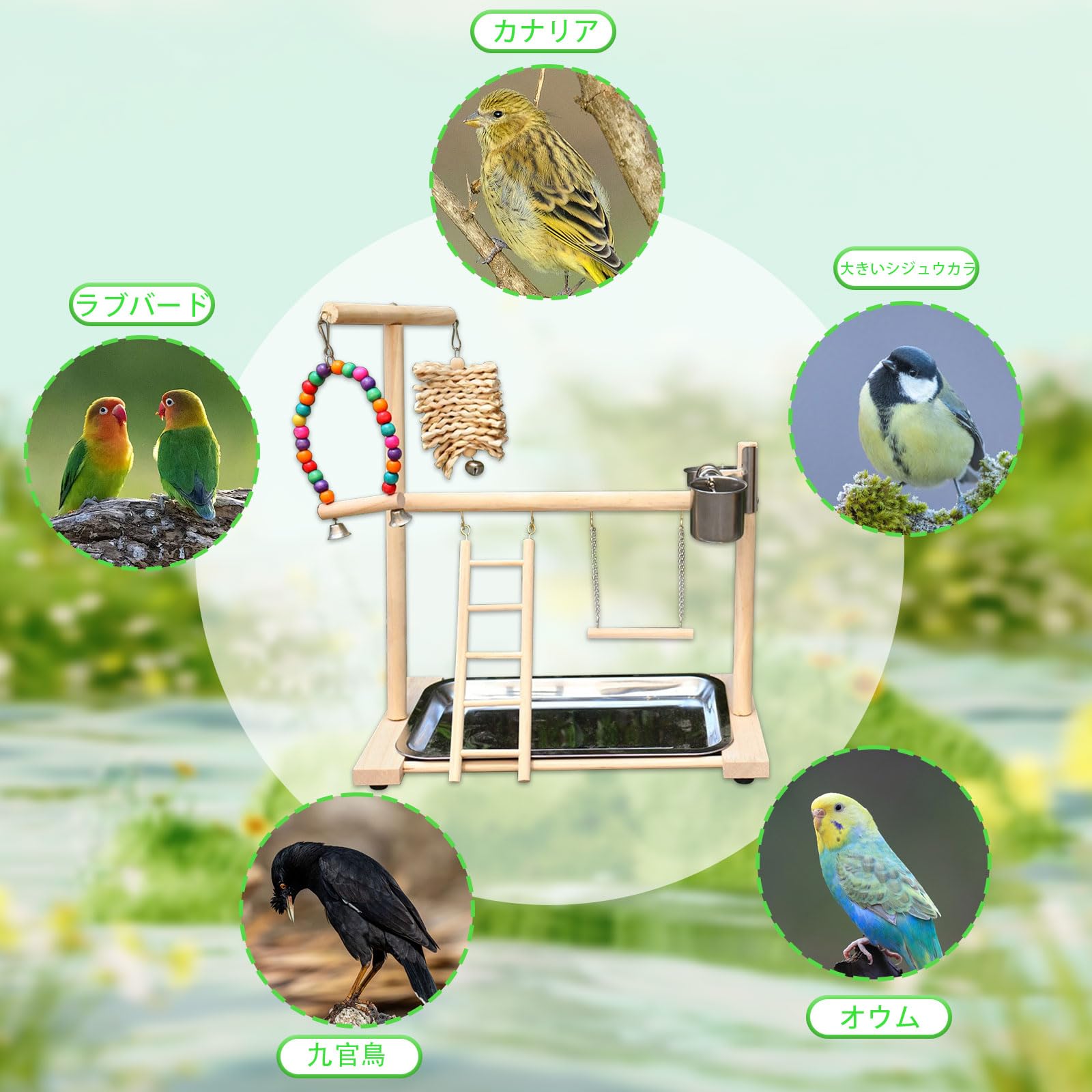 Amazon | インコ 遊び場 鳥の遊び場 止まり木 鳥用 遊び場 おもちゃ