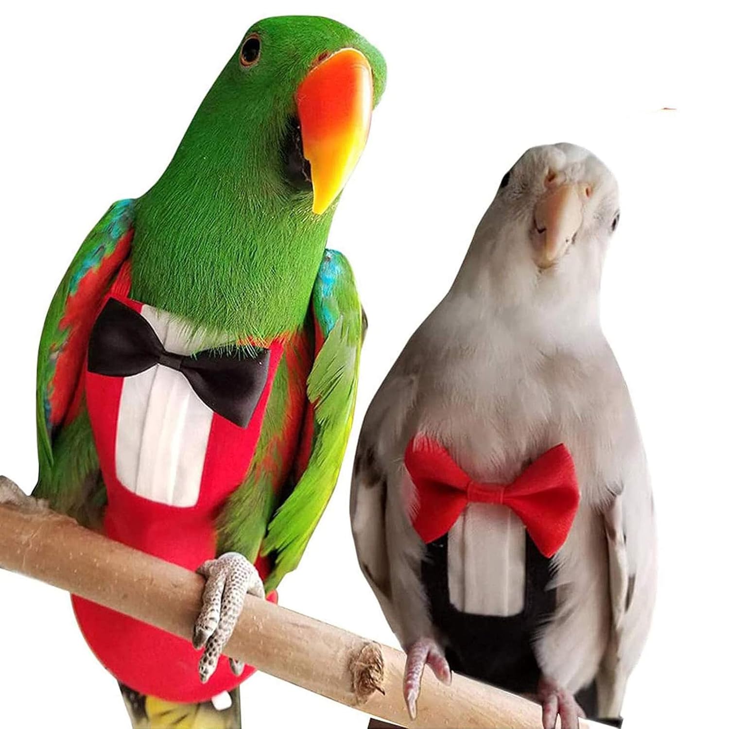 QBLEEV 2 Pack Bird Diapers, Cockatiel Tuxedo Flight Suite, Reusable Parrot Nappy Clothes Costume for Wedding Party Birthday Cosplay Photo, Pigeon Pants Urine Wet Suit for Conure...