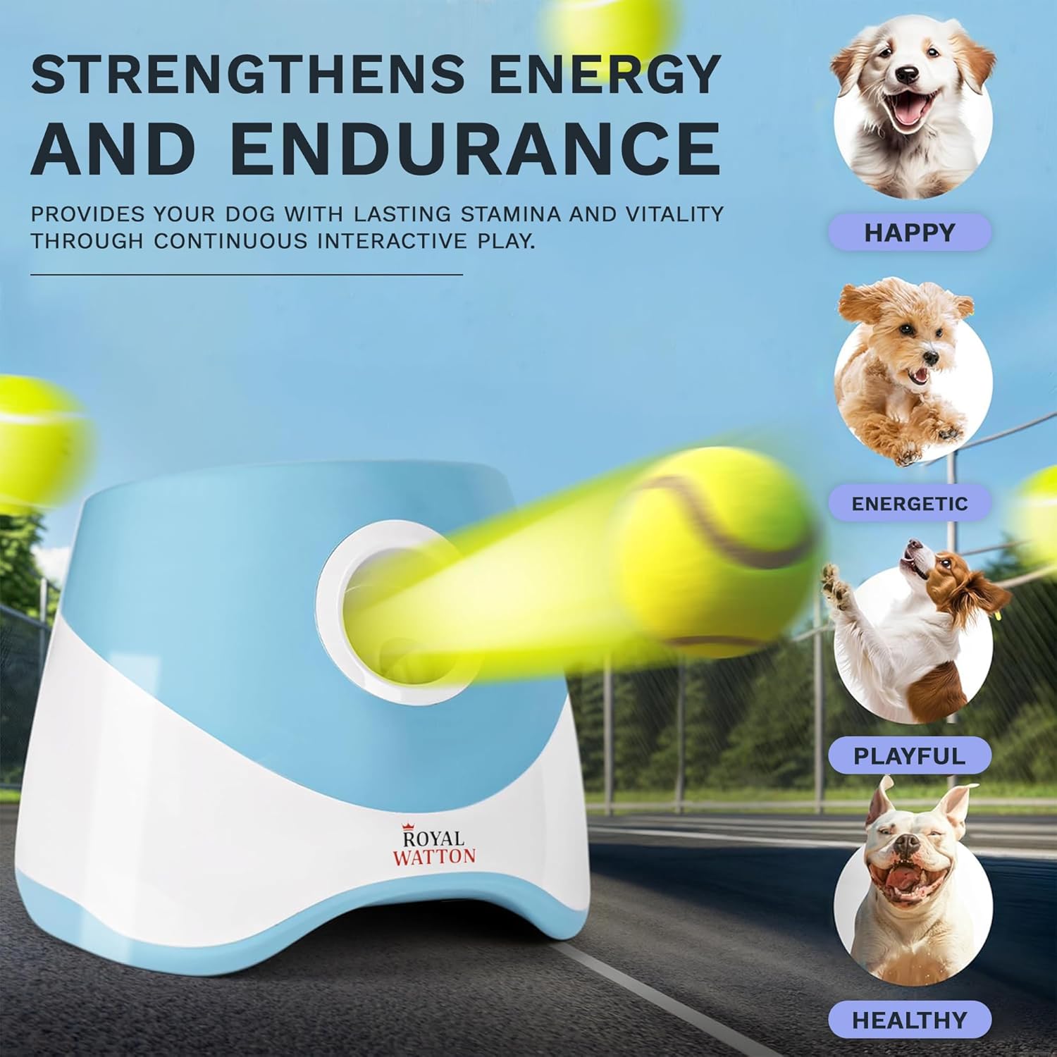 Automatic Ball Launcher for Dogs with 10 Tennis Balls (2 inch), Dog Ball Launcher with 3 Range Modes (10/20/30ft), Rechargeable Dog Balls Thrower for Small-Medium Dogs,Indoor/Outdoor Pet Fetch Machine