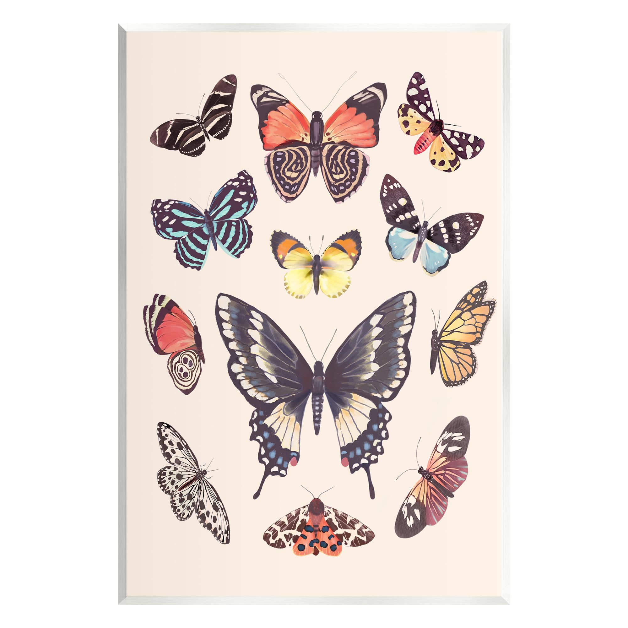 Stupell Industries Cottage Moths & Butterflies Wall Plaque Art by Diane Neukirch