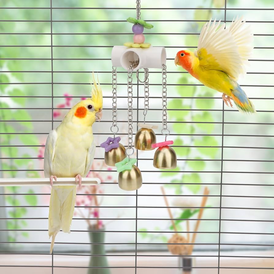 金剛インコ ベニコンゴウインコ（紅金剛インコ、紅金剛鸚哥） - 動物図鑑