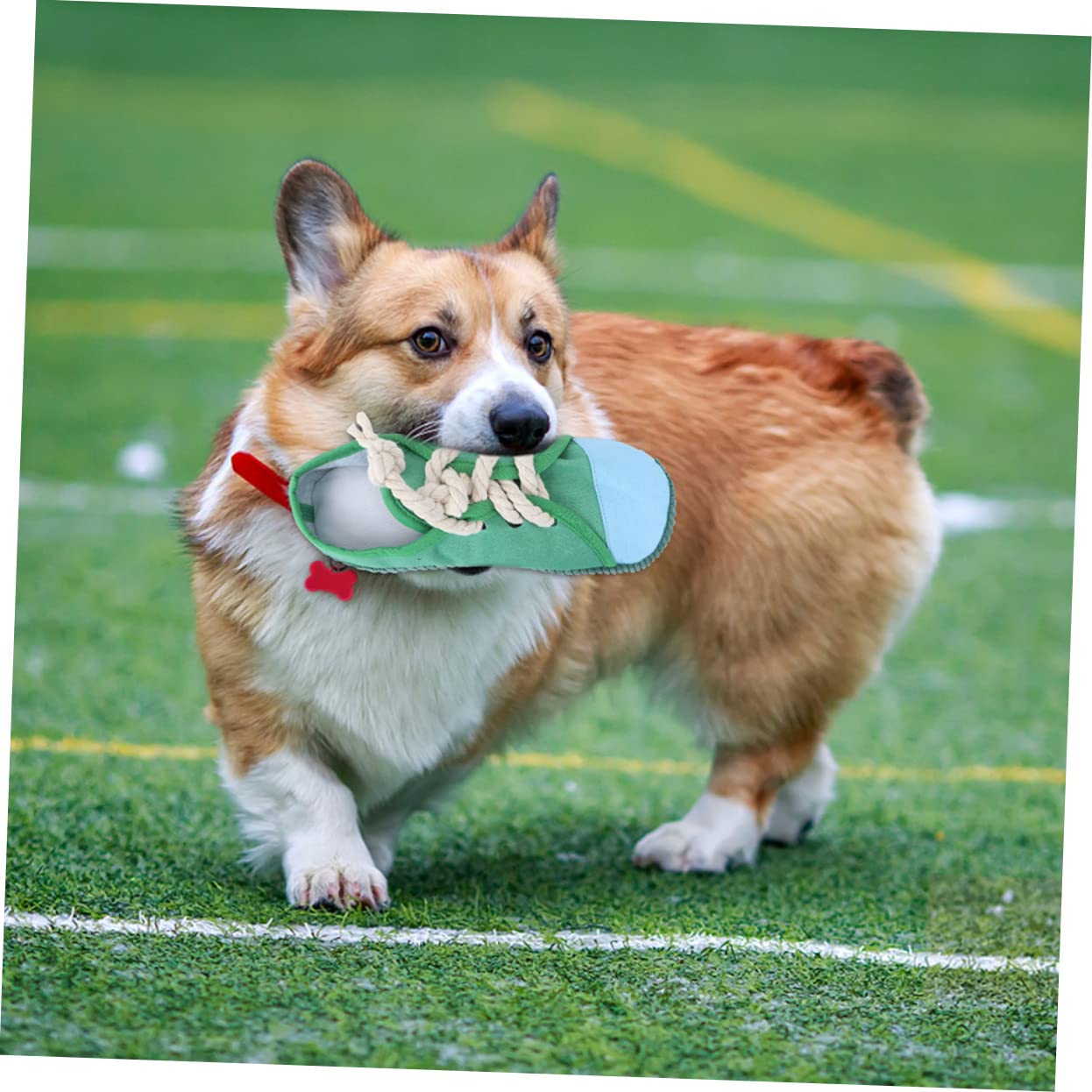 FRCOLOR 4 Piezas Juguetes de Sonido para Mascotas Juguetes mordedores Zapatillas para niños pequeños Juguetes de Peluche Juguetes masticables para Perros Zapatos Cachorros Juguetes Rompecabezas Libro