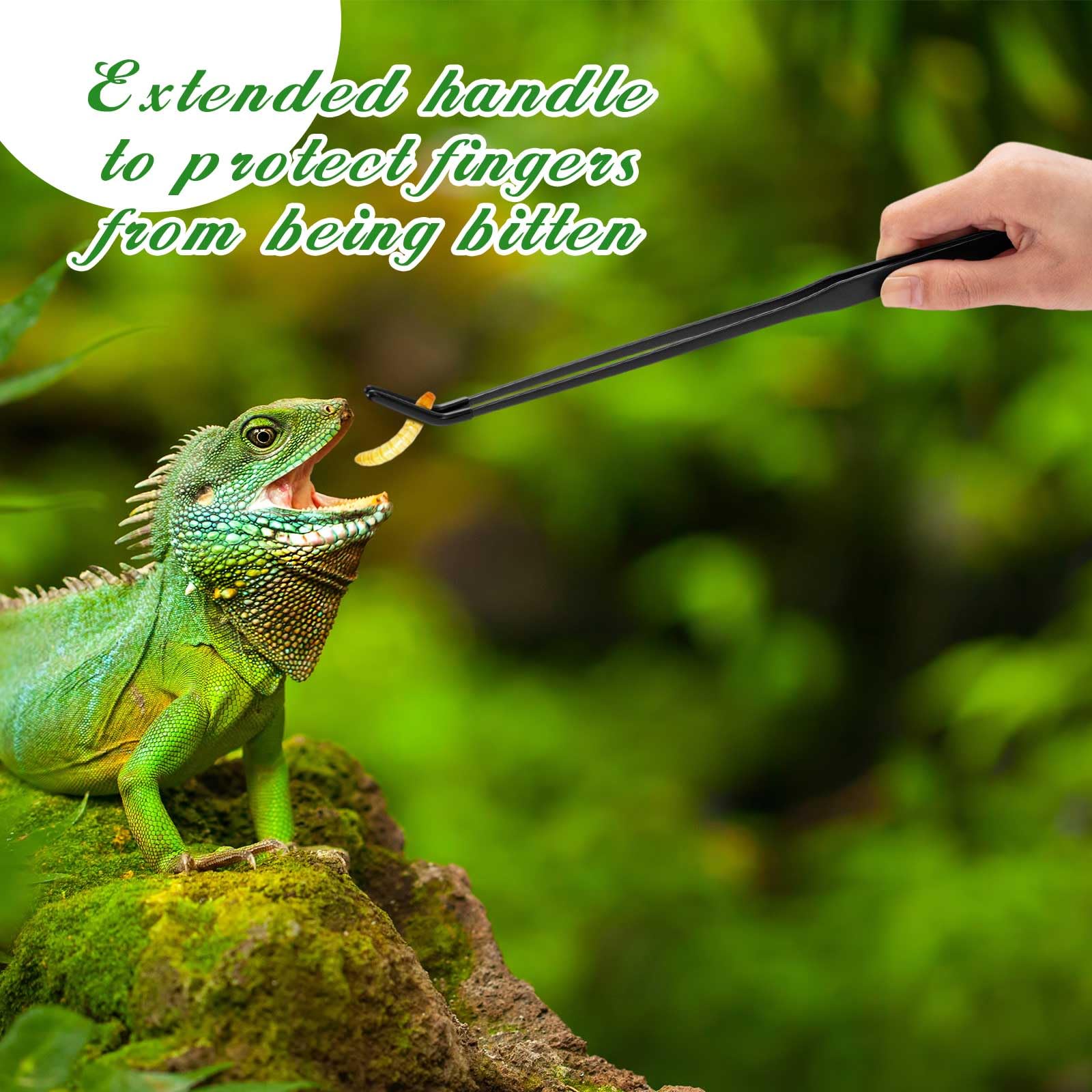Lasnten 2 pinzas de alimentación de reptiles de acero inoxidable con punta de goma, pinzas de acuario, pinzas largas rectas y curvadas, herramienta de terrario, herramienta de alimentación de mango
