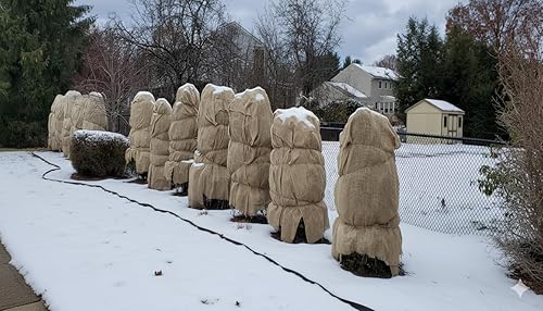 Miniatura 4 de 48 pulgadas x 15 pies en total 60 forros de arpillera de jardín SFT, tejido suelto de yute para cama elevada, semillas de cobertura, mantillo y