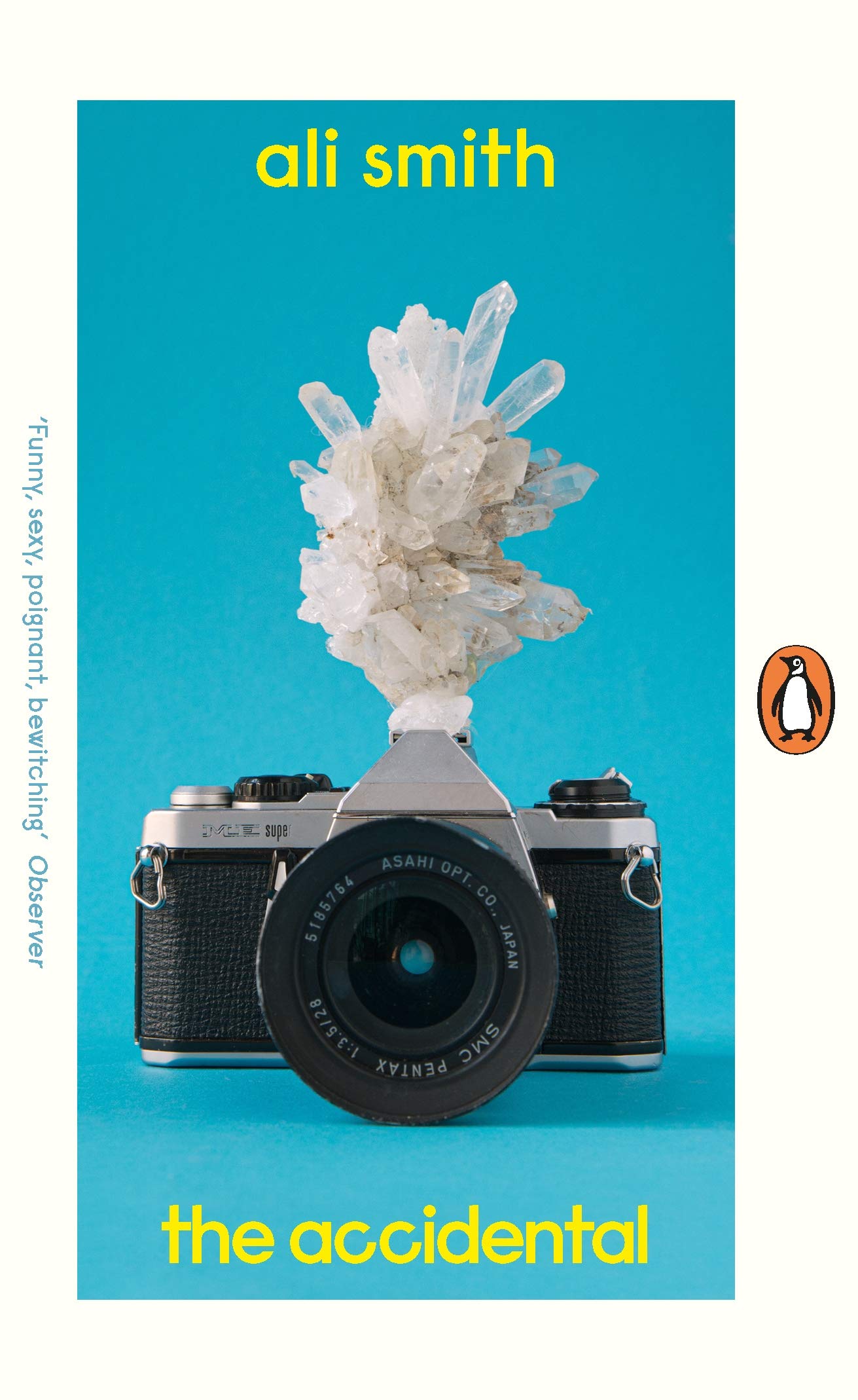 The Accidental by Ali Smith (Paperback Book)