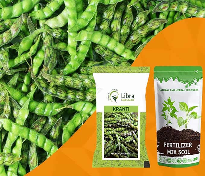 Pigeon Pea Seeds for Home Garden Farming Vegetable Kitchen