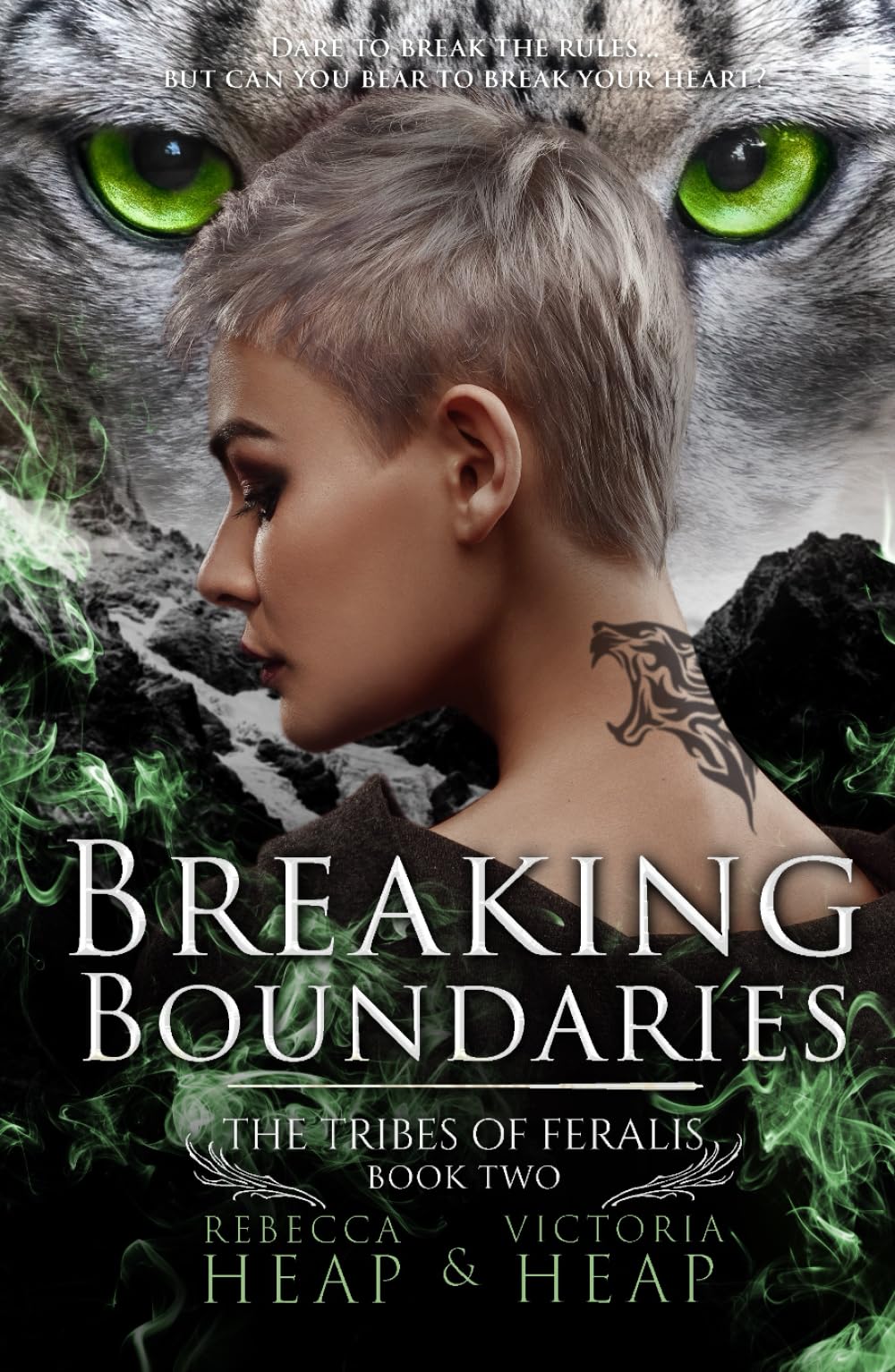 Breaking Boundaries: The Tribes of Feralis Book Two