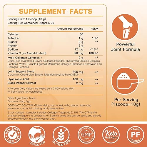 Miniatura 2 de ZEBORA Péptidos multicolágeno en polvo para recuperación de articulaciones con MSM y CS, péptidos de colágeno hidrolizados con ácido hialurónico y