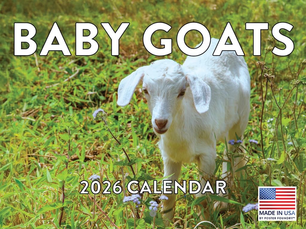Debating the GOAT: Iconic Figures Across Different Fields