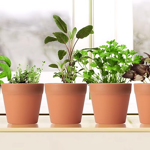 Miniatura 2 de FAMILY 20 macetas pequeñas de resina de 3 pulgadas, macetas de vivero para suculentas con agujeros de drenaje, 20 macetas de resina para plantas de