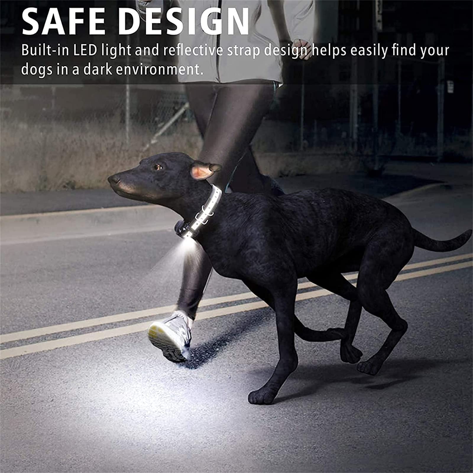 Hunde-Halsband,Hundehalsbänder,Klassisches,Hundehalsband, Hundehalsband Hund Neuheit,längenverstellbar,Geeignet für alle Arten von Hunden (aa2)