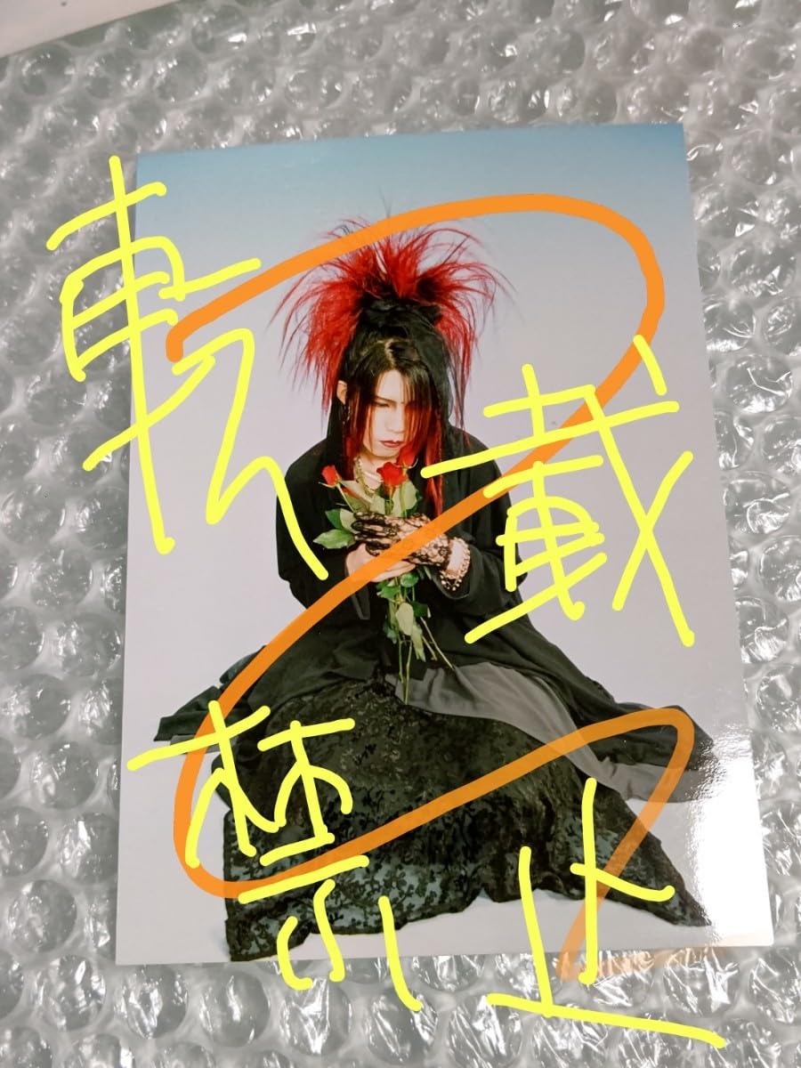 Amazon.co.jp: La:Sadie's KISAKI 生写真 ブロマイド 10 /検 DIR EN