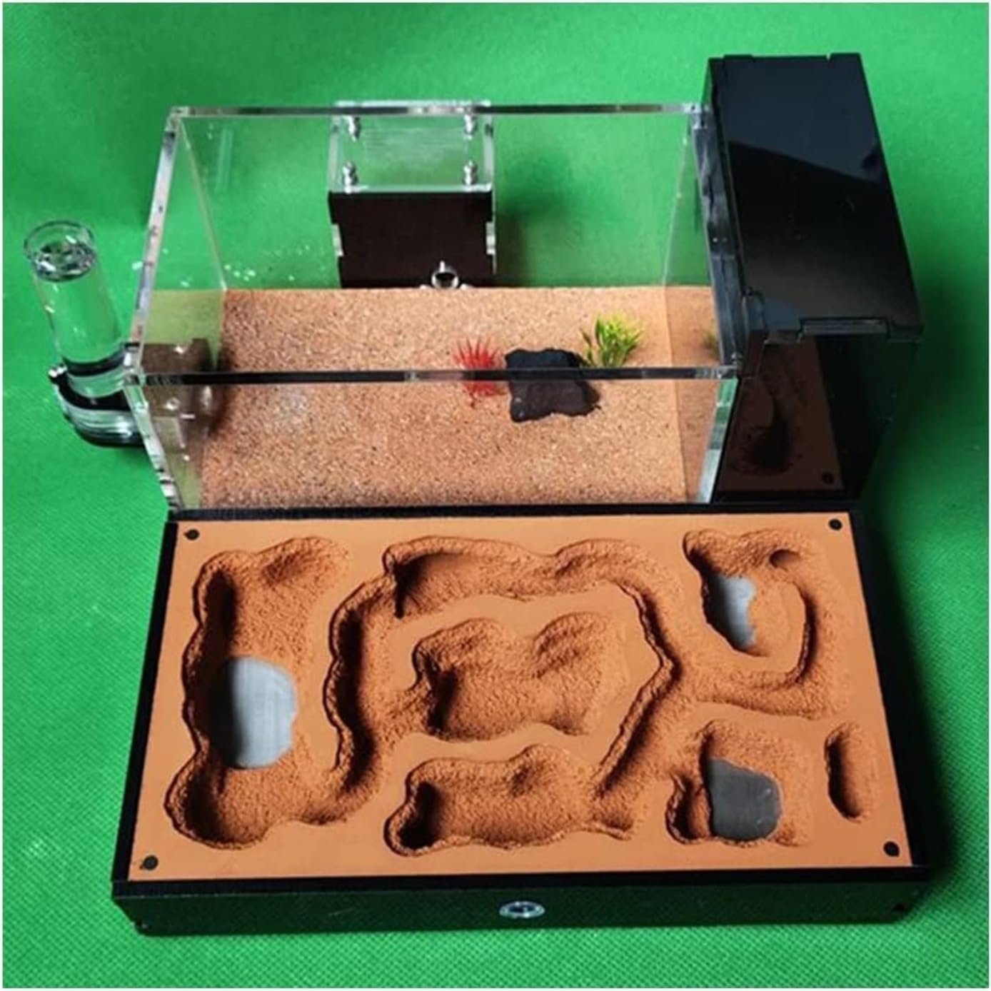 Formicaio per Riproduzione Osservazione Classico Formicaio in Gesso Acrilico Castello delle Formiche Piatto Habitat Area di Alimentazione Laboratorio Esperimenti