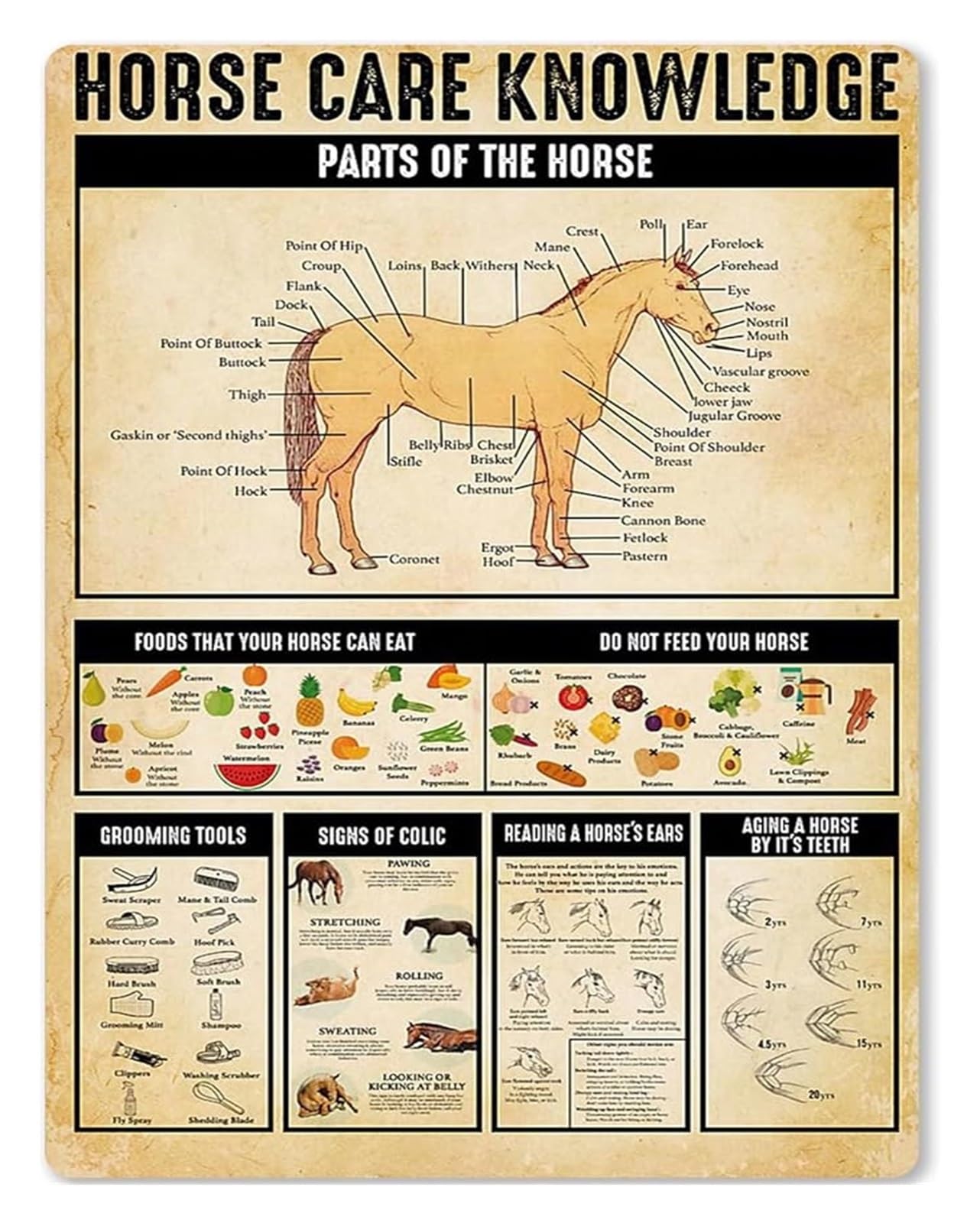 VWWJCCRO Parts Of The Horse Infographic Metal Sign Equestrian Guide Aluminum Wall Decor for Horse Farm Barn Stable 8 X 12 inch