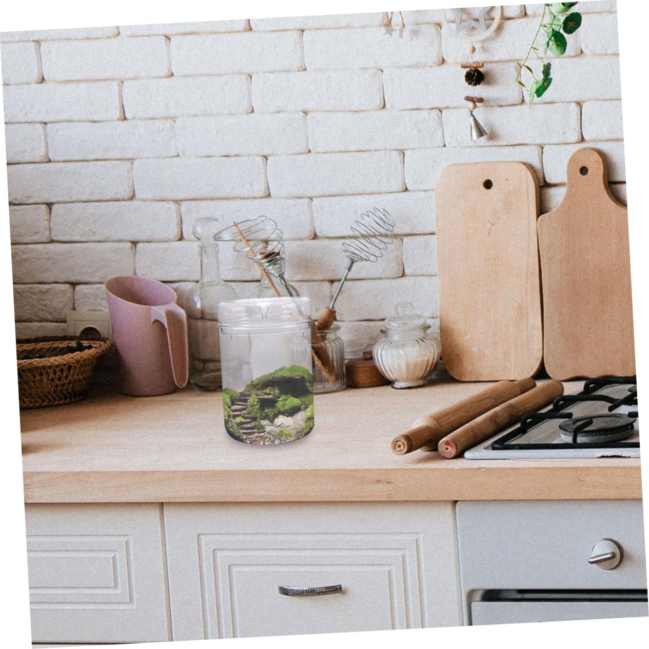 DECHOUS Terrario in Vetro per Ecosistema di Muschio, Vaso Decorativo Leggero e Resistente, per Scrivania e Soggiorno, per Piante e Fiori