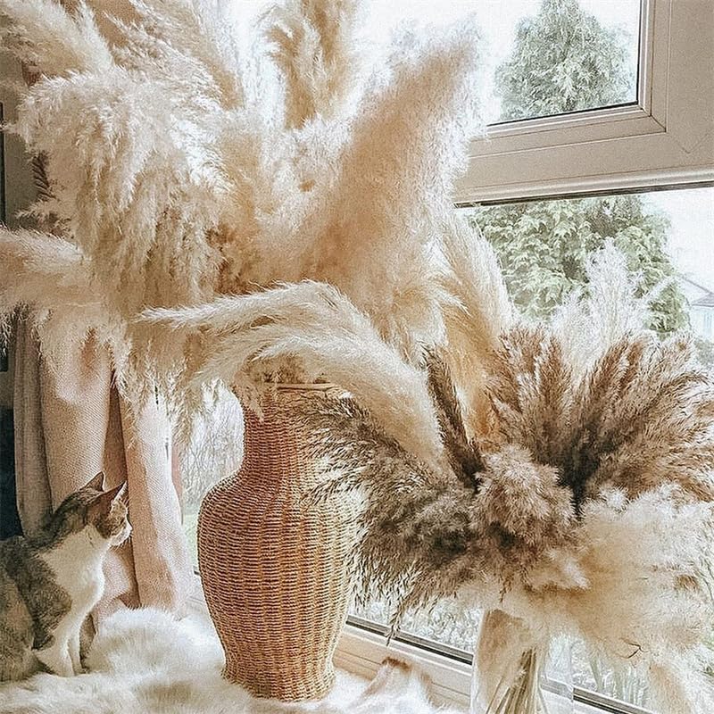 Pampas Grass Large 60cm Fluffy Tall Pampas Decor (5pcs) miniatura 2
