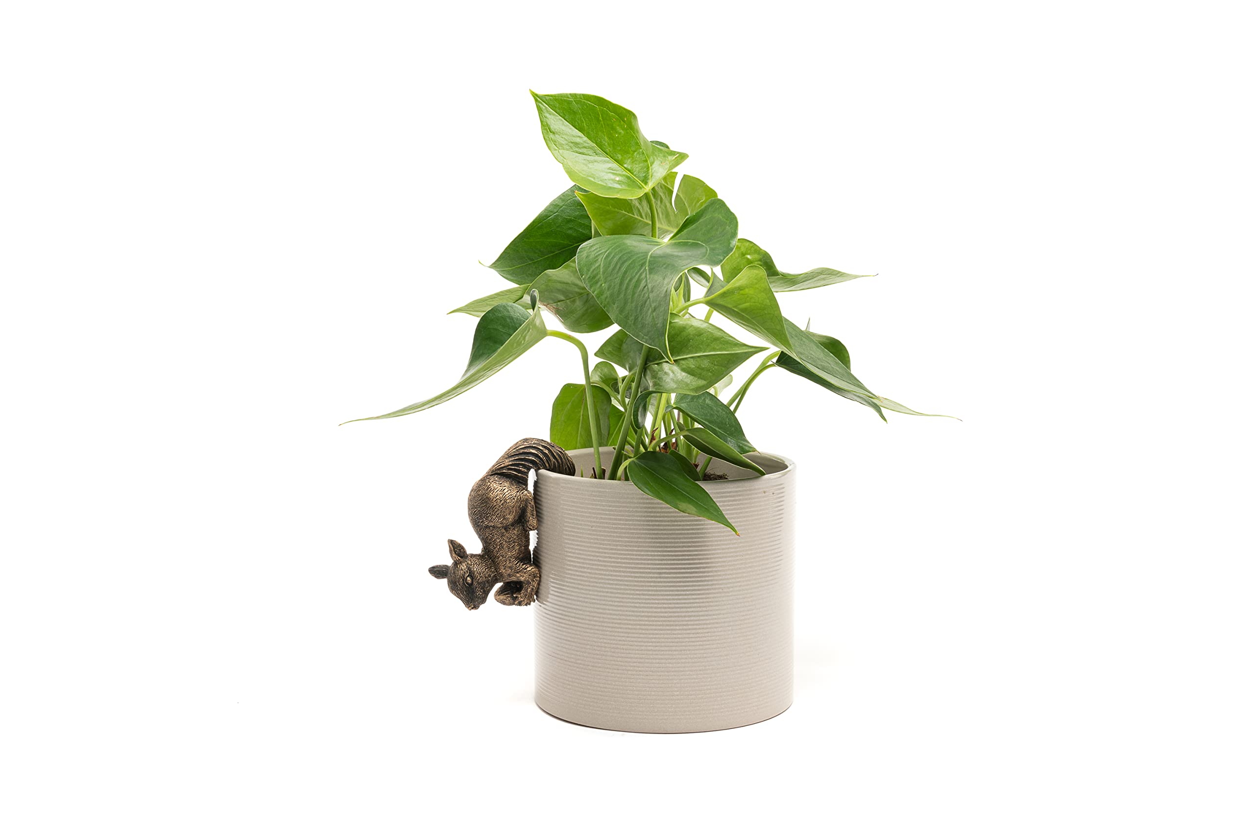 Pot Buddies - Fioriera ornamentale da appendere a forma di geco