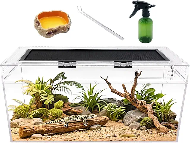 Plastic Terrarium Set: 20x10x8 Inch Reptile Habitat with Sliding Door