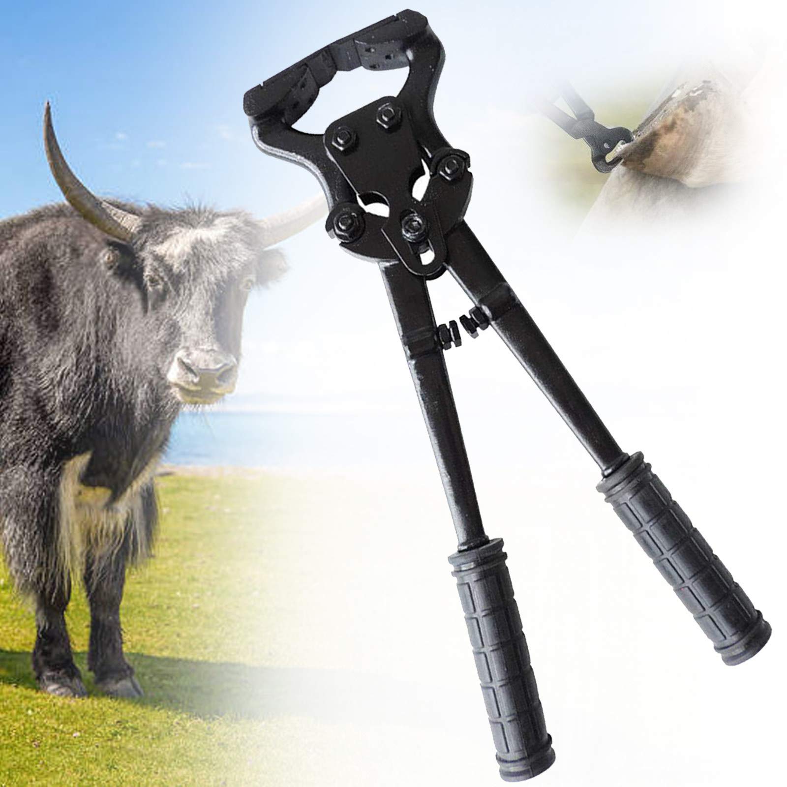 Buy Farrier Rasp for Horses, Horse Hoof Nippers Professional, Heavy