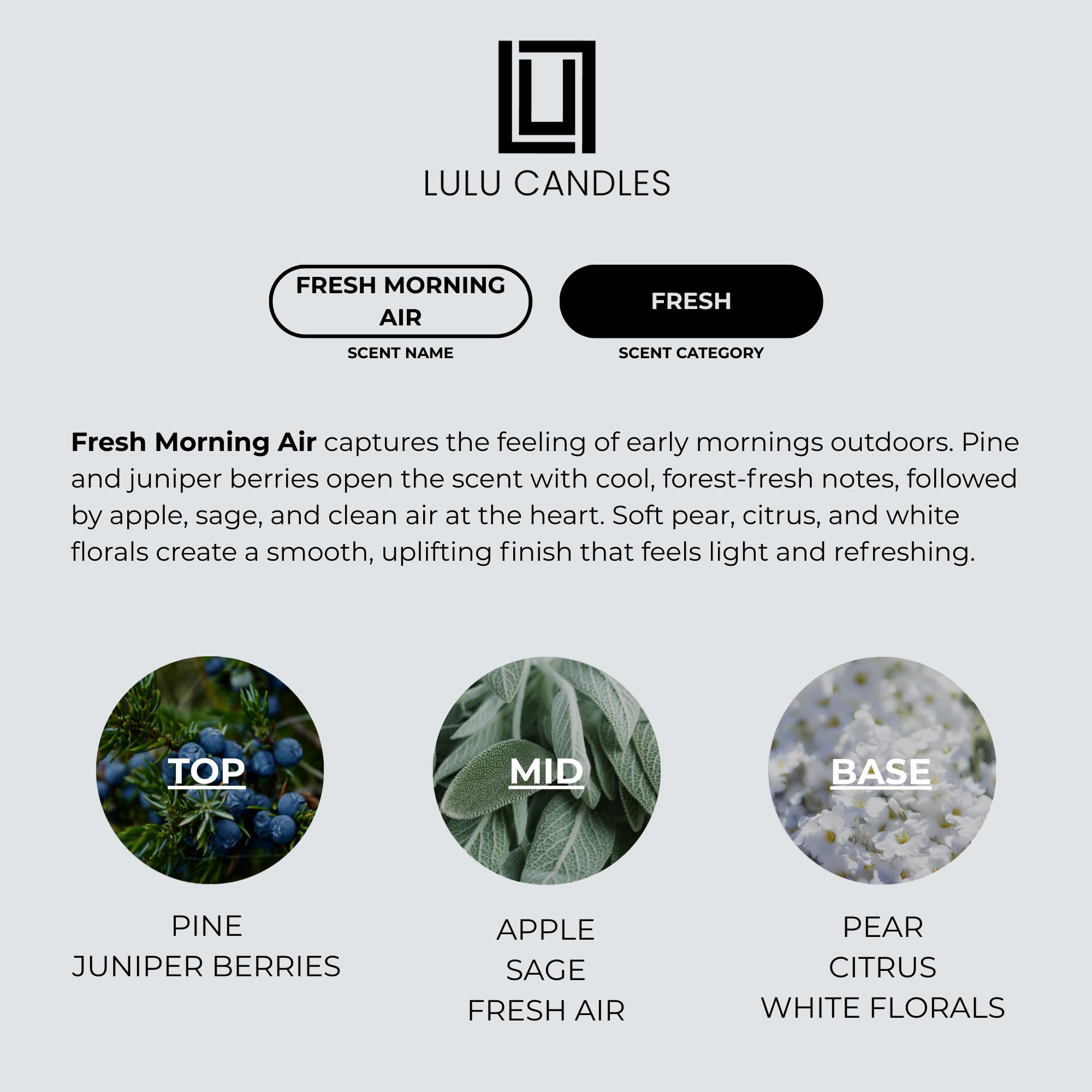 Lulu Candles Luksusowa świeca zapachowa w słoiku sojowym | ręcznie nalewana w USA | wysoce pachnąca i długotrwała (świeże poranne powietrze, 255 g)