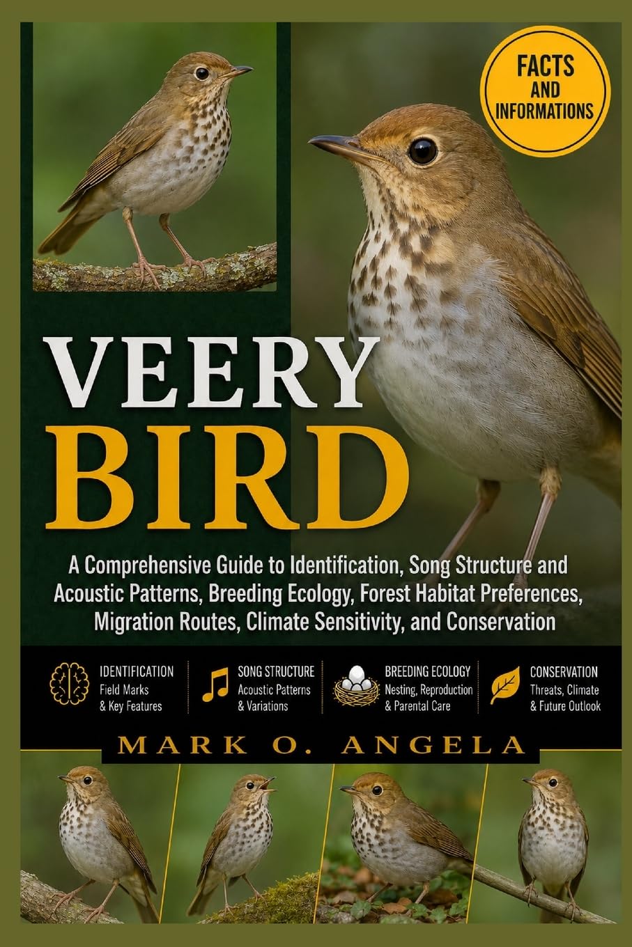 VEERY BIRD: A Comprehensive Guide to Identification, Song Structure and Acoustic Patterns, Breeding Ecology, Forest Habitat Preferences, Migration Routes, Climate Sensitivity, and Conservation