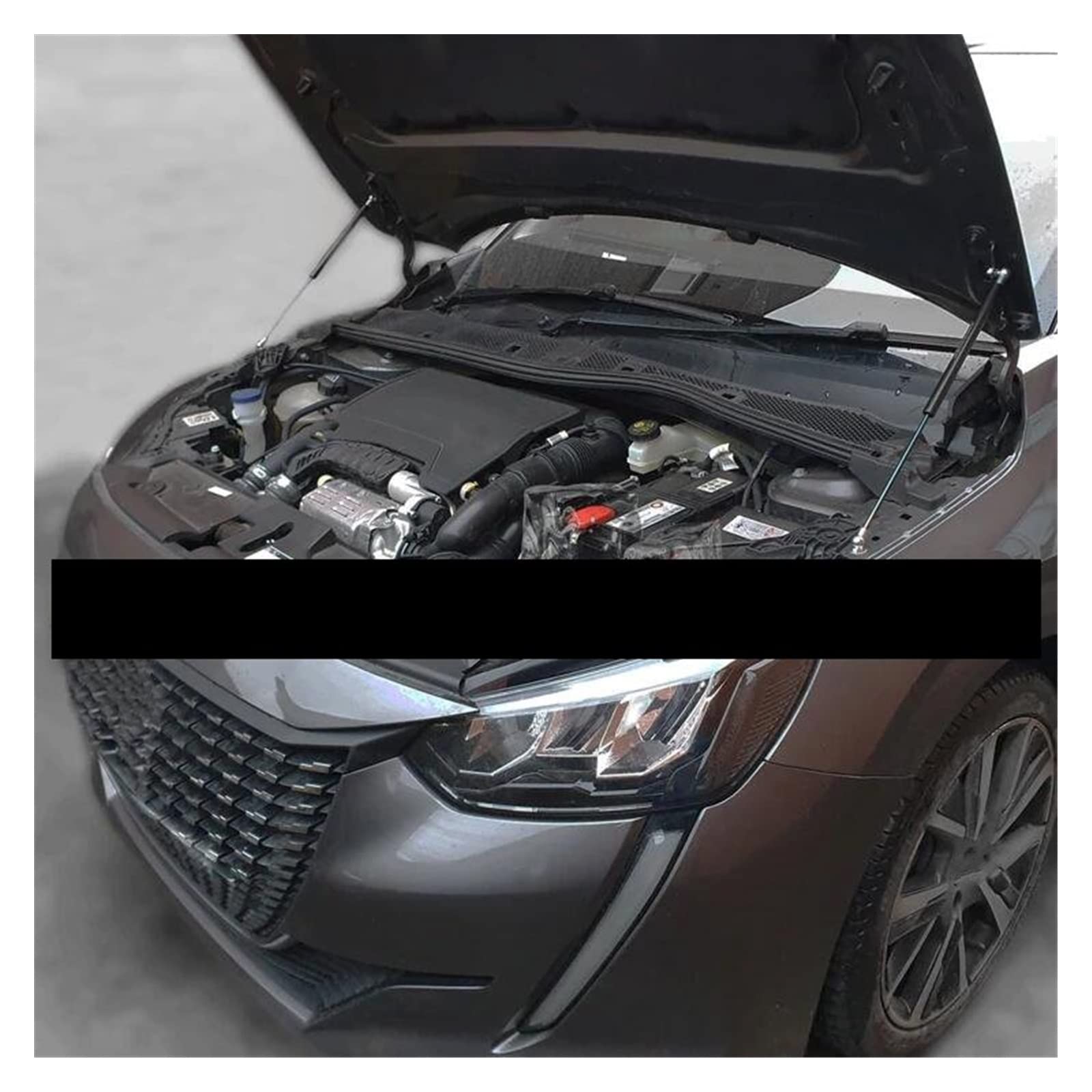 Supporti Cofano A Molla Gas Per Ford Focus MK4 2018-2024 - Sollevamento Facile E Sicuro
