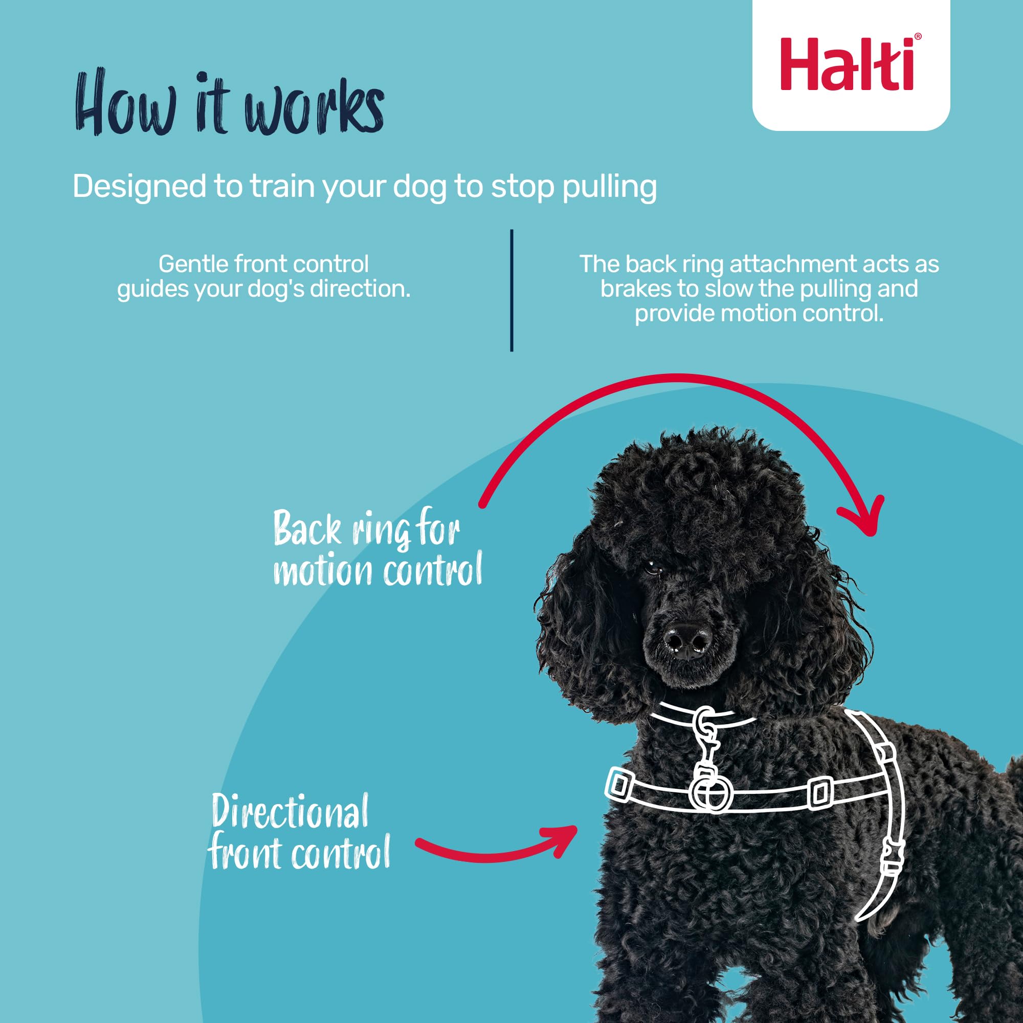 HALTI Arnés de Control Frontal tamaño Grande y Correa de Entrenamiento HALTI tamaño Grande, Paquete Combinado Negro – Evita Que tu Perro Tire de la Correa. Ajustable, Ligero y fácil de Usar. Adecuado