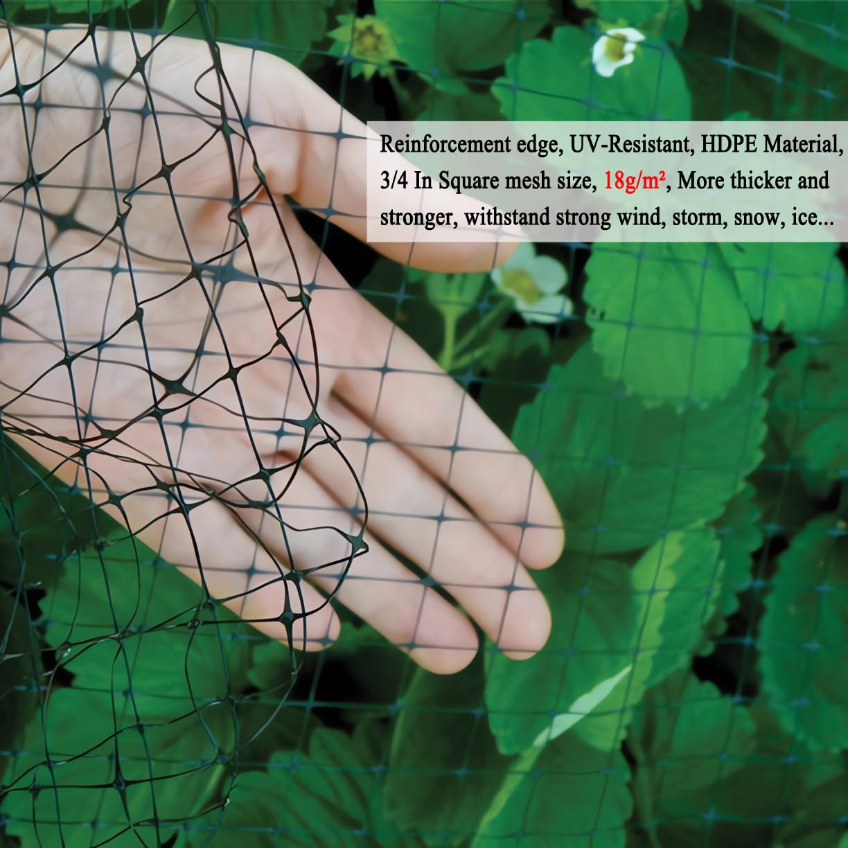 Vogelschutznetz 2x7.5M, Engmaschiges Kulturschutznetz, Pflanzennetz für Gemüse wie Tomaten, Gurken, Gemüseschutznetz, vogelnetz für Garten, Netz zum Pflanzenschutz und Vogelschutz