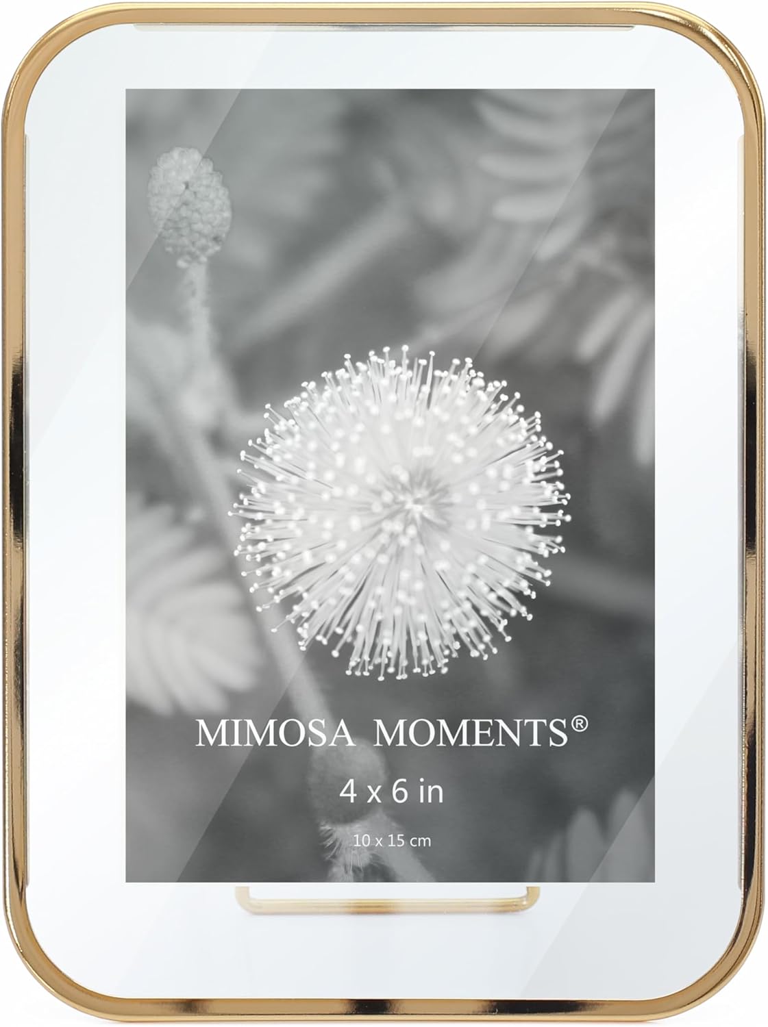 MIMOSA MOMENTS Rounded Corner Floating Picture Frame, 4x6 Brass Metal Photo Frame, Vertical Tabletop Stand with Double Glass for Home & Office Decor