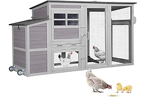 Aivituvin Mobile Chicken Coop with Wheels: A Home with Freedom for Your Poultry Companions