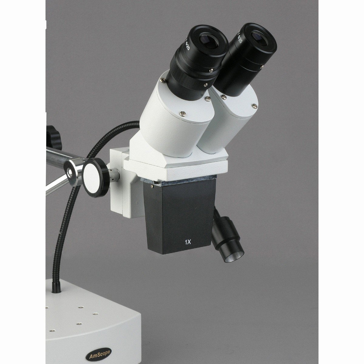 AmScope SE400-LED microscopio binocular LED 10x, brazo con cuello de cisne y luz