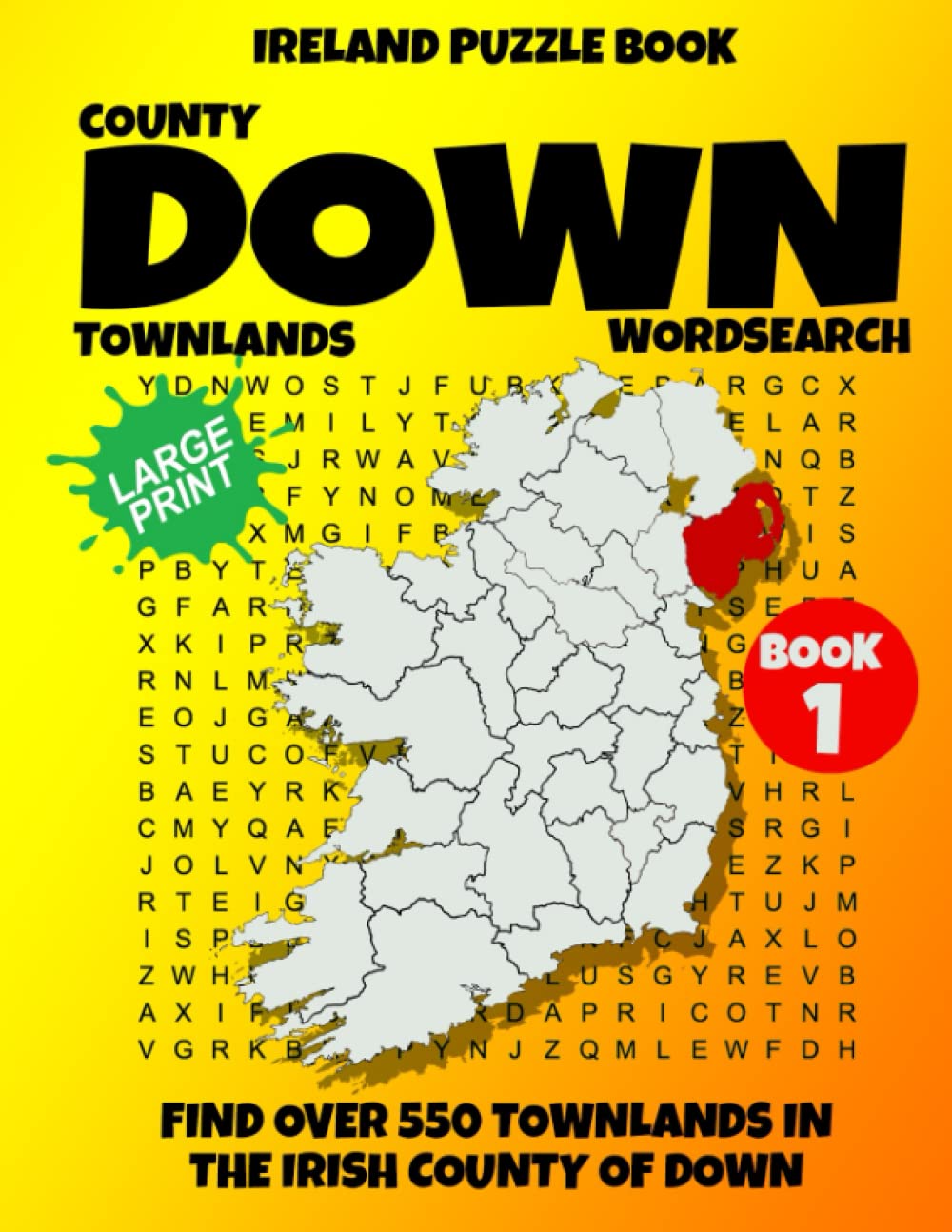 Ireland Puzzle Book County of Down Word Search (Book 1): Find over 550 Townlands in this beautiful Irish County. Large Print for Adults, Seniors and Lovers of Geography and History