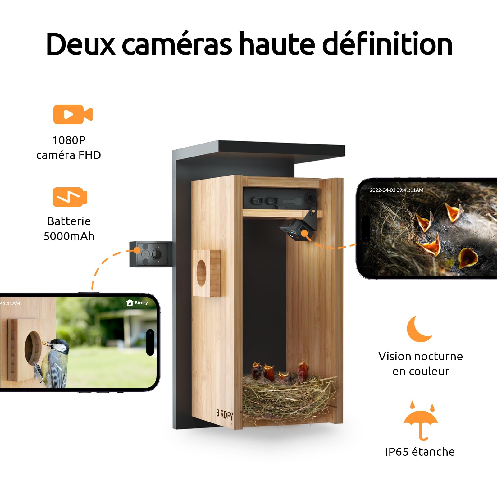 Netvue by Birdfy Nichoir Oiseaux avec Deux Camera Intelligente, Cabane pour Éclore Oiseaux Jardin Terrasse Maison Caméras Connectées IA Identifie Comportement Oiseaux & Crée Histoire Nid Oiseau