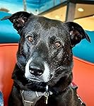 Review Image by Sophie Sophie