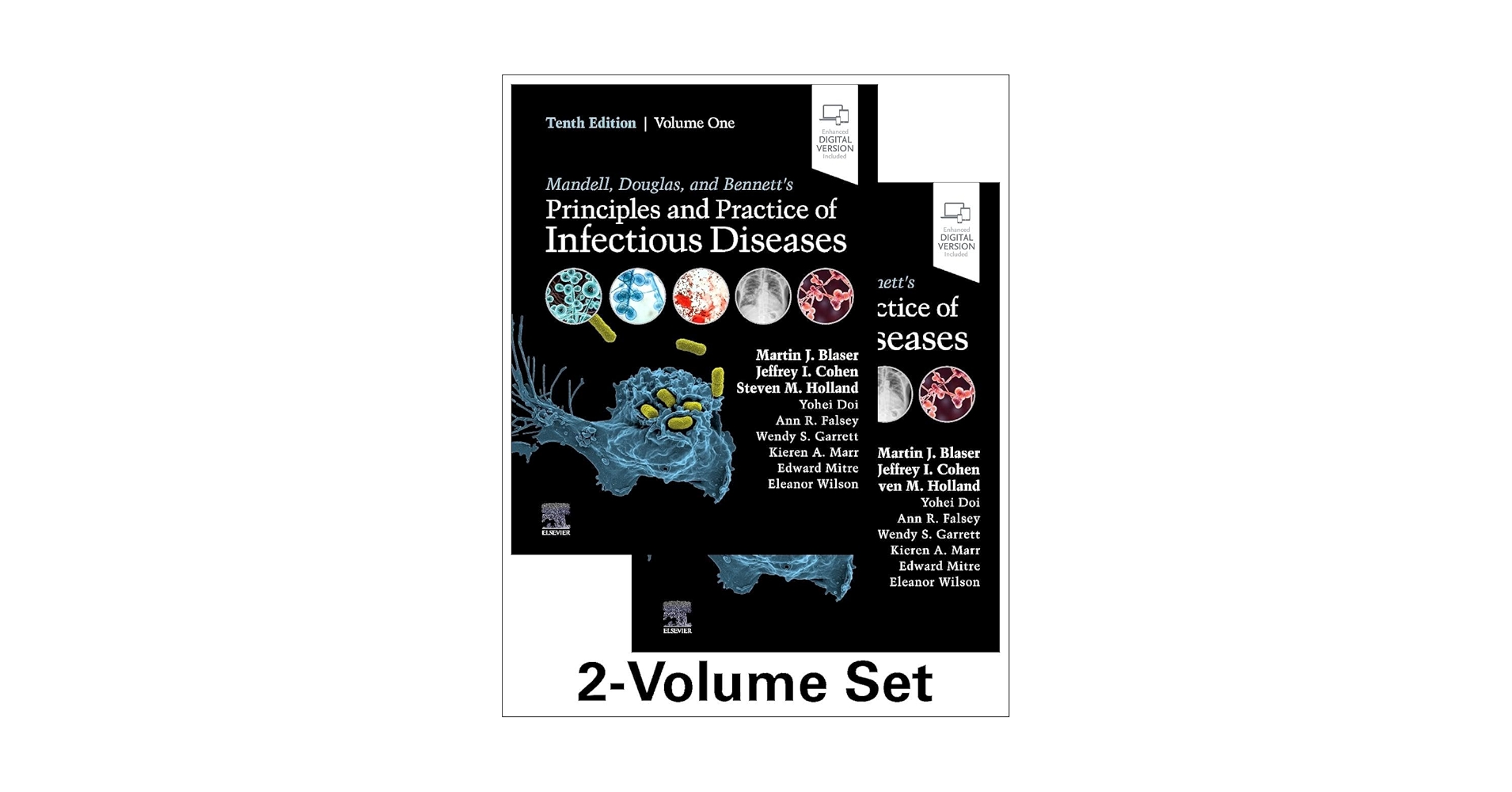 Mandell, Douglas, and Bennett's  感染症　第8版 Mandell, Douglas, and Bennett's Principles and Practice of