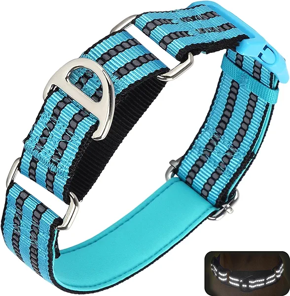 Martingale Dog Collars for Dogs, Reflective Nylon Dog Collar with Buckle Adjustable Training, Walking, Hunting No Slip Dog Collar (Large, Bule) B L