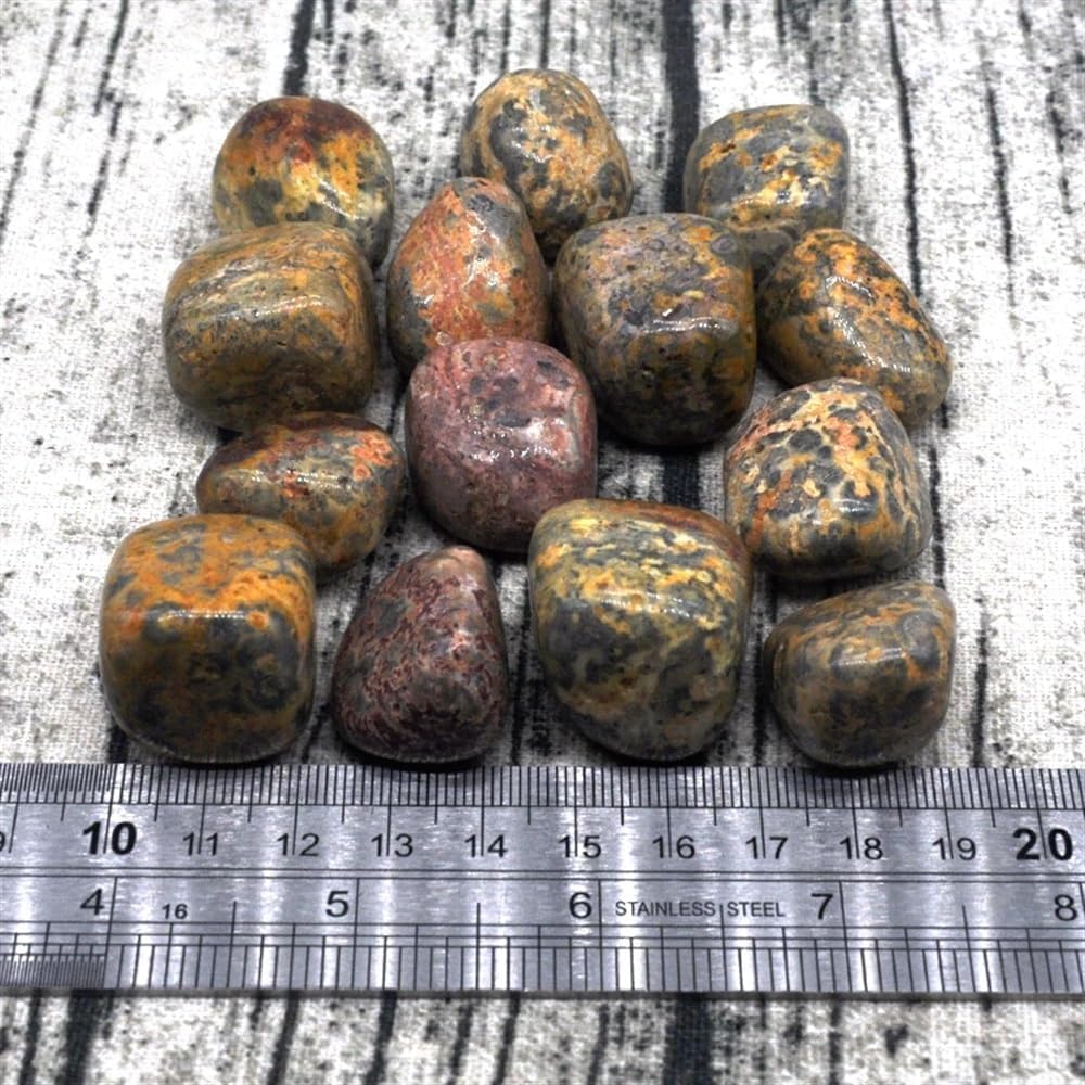 KatLin Beautiful Natural Leopard Jasper Gravel Specimen Size Irregular Tumbled Stones Reiki Healing Crystals Quartz Mineral Home Aquarium Decor Ornaments (Size : 500g)