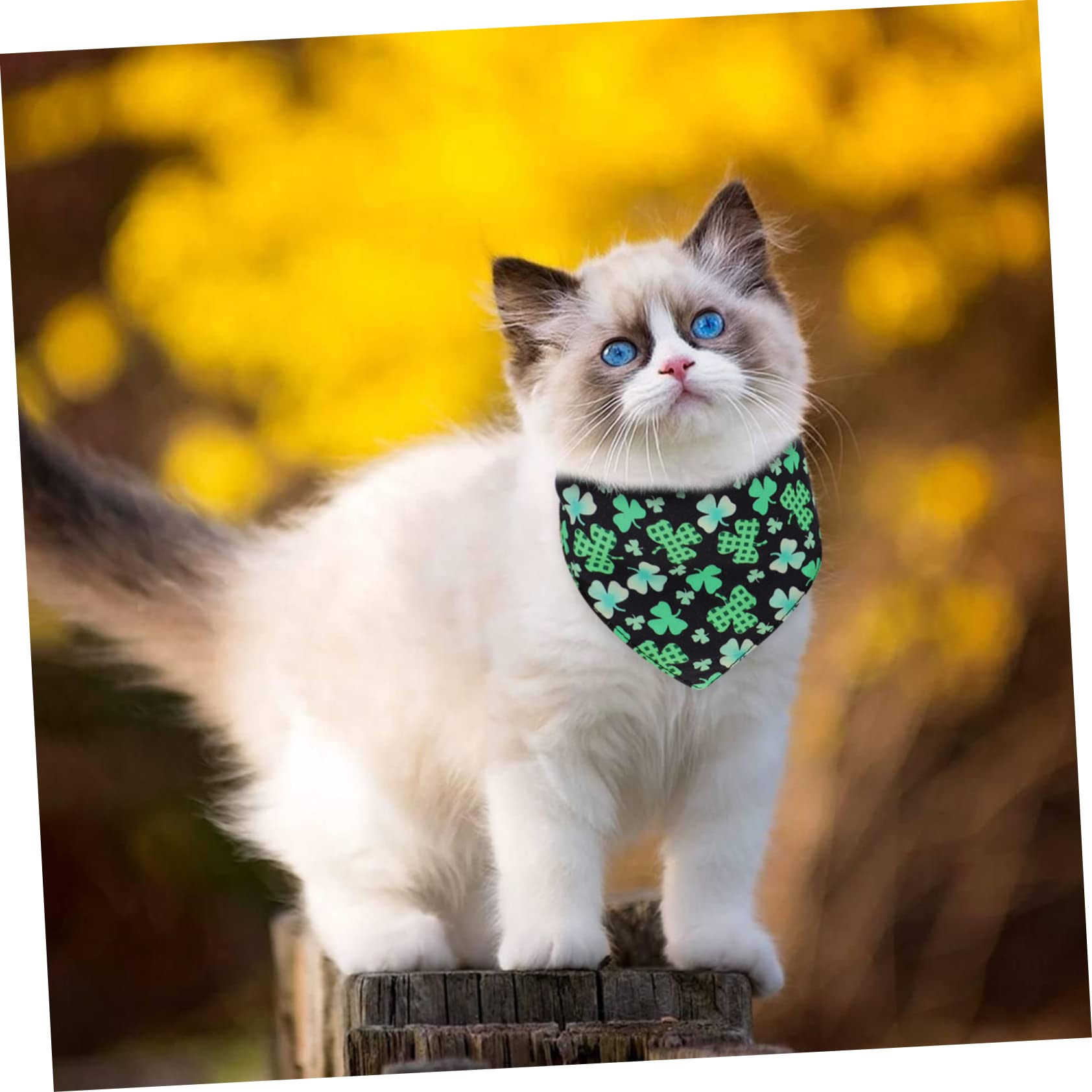 Beavorty 8pièces Bandana Chien Créatif Et Adorable pour Chiens Et Chiots Accessoires Animaux De Compagnie pour Et Vie