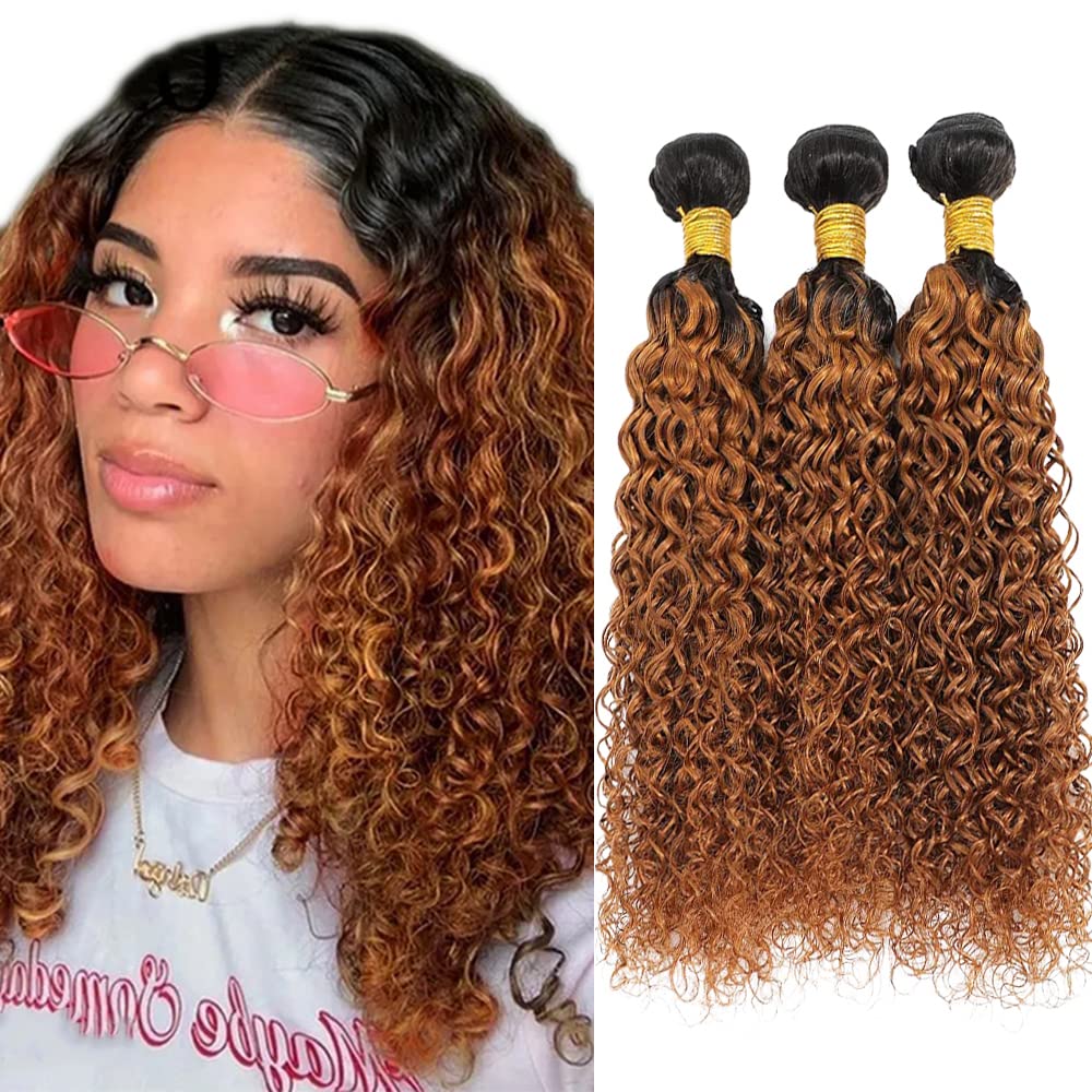 Ombre Curly Bundles Human Hair Brown Kinky Curly Bundles