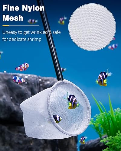 Miniatura 2 de Pawfly Red de acuario - Red de camarones y peces de bebé de 2 pulgadas con mango extensible de acero inoxidable para tanques pequeños y estanques
