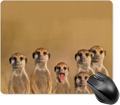 Meerkats - Alfombrilla cuadrada impermeable antideslizante para mouse, base de goma, accesorios de oficina, 7.1 x 8.7 in