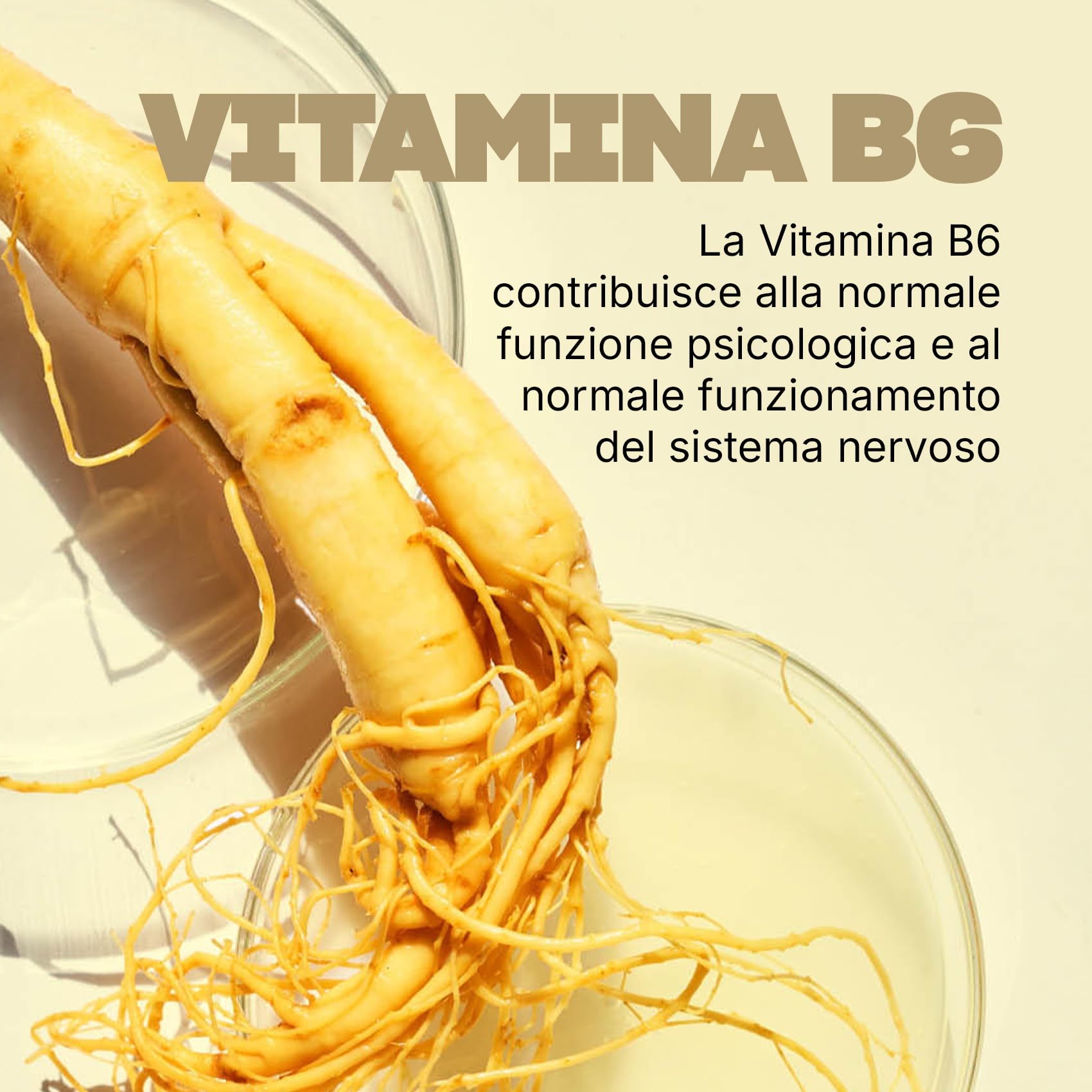 SWISSE Ultiboost- Integratori Memoria con Bacopa Monnieri e Ginkgo Biloba per Mantenimento Funzione Cognitiva, Integratore con DHA per Supporto Normale Funzione Cerebrale, Made in Italy, 120 Capsule